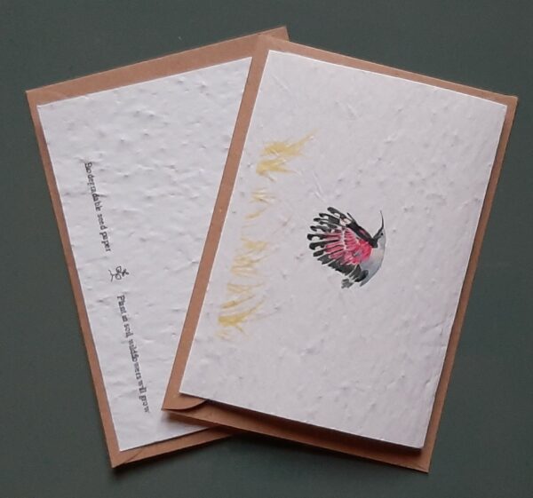 Wallcreeper – A6 card & envelope